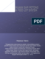 DD Feed-Lot System
