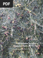 Variedades de Olivo y Aceitubas