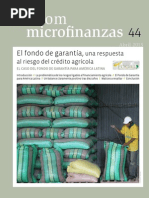 Zoom Microfinanzas 44 