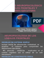 Desarrollo Neuropsicológico de Lóbulos Frontales y Funciones Ejecutivas