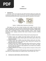 Download Emulsi Dengan Zwitter Ion by TutyIndraswari SN264575601 doc pdf
