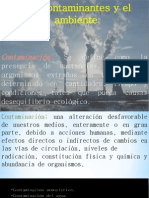 contaminacion ambiental II.pdf