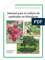 164701776 Manual Rambutan