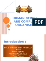 Human Beings Are Complex Organisms