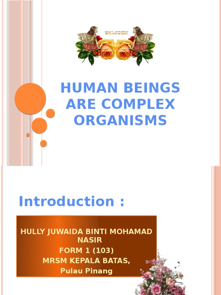 Understanding Human Complexity | PDF | Science & Mathematics
