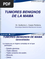 Tumores Benignos de Mama
