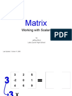 Matrix: Working With Scalars