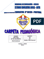 Carpeta Pedagogica 5ºgrado 2013