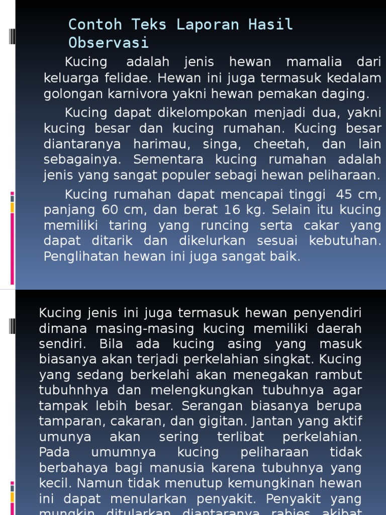 Contoh Teks Laporan Hasil Observasi