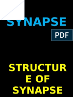 Structur e of Synapse