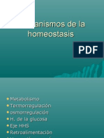 Mecanismos de La Homeostasis