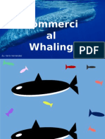 Commercial Whaling