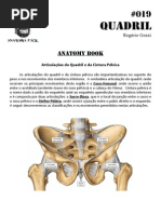 019 - Anatomy Book - Articulações Do Quadril e Da Cintura Pélvica