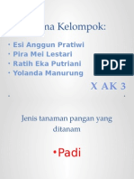 Kelompok 1