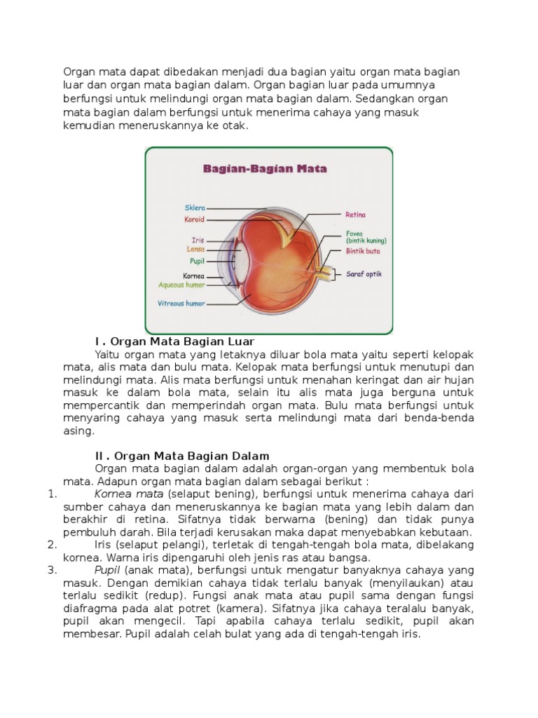 Presentasi Optik Mata