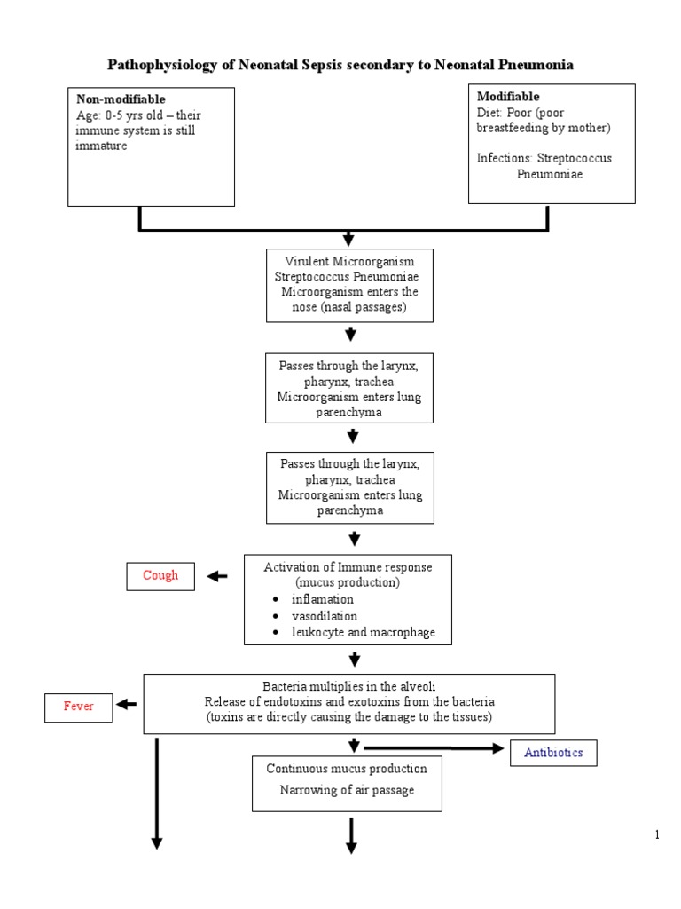 Pathophysiology of Neonatal Sepsis secondary to Neonatal Pneumonia