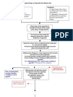 Pathophysiology of Appendicitis (Ruptured)