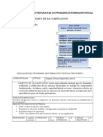 Esquema de Un Programa de Formacion