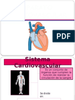 Aparato Cardiovascular