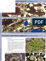 Carbonate Sedimentary Rocks-Lecture 2014-2015-81-120