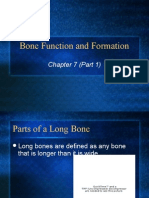 bonefunctionandformation2009-100914165233-phpapp02