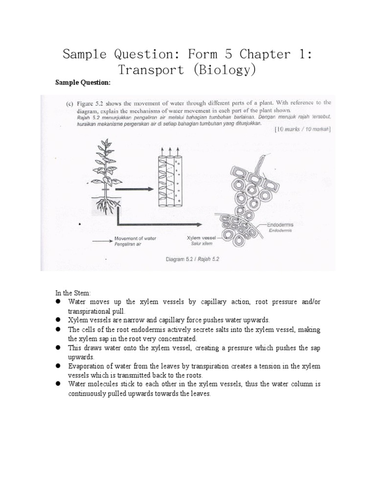 Biology Subjective(Transport of Plants)