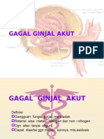 gagal-ginjal-akut