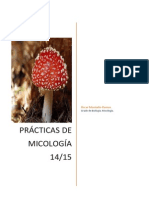 Cuaderno Micología