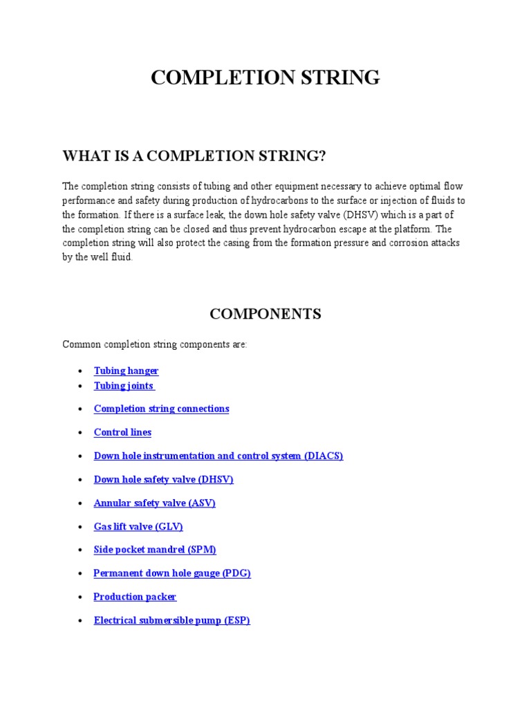 Overview of Completion String Components | PDF | Casing (Borehole) | Valve