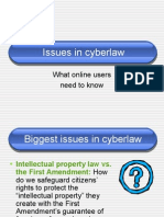 Issues in Cyberlaw: What Online Users Need To Know