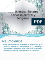 Neurociencia, Sistema Nervioso Central y Lenguaje