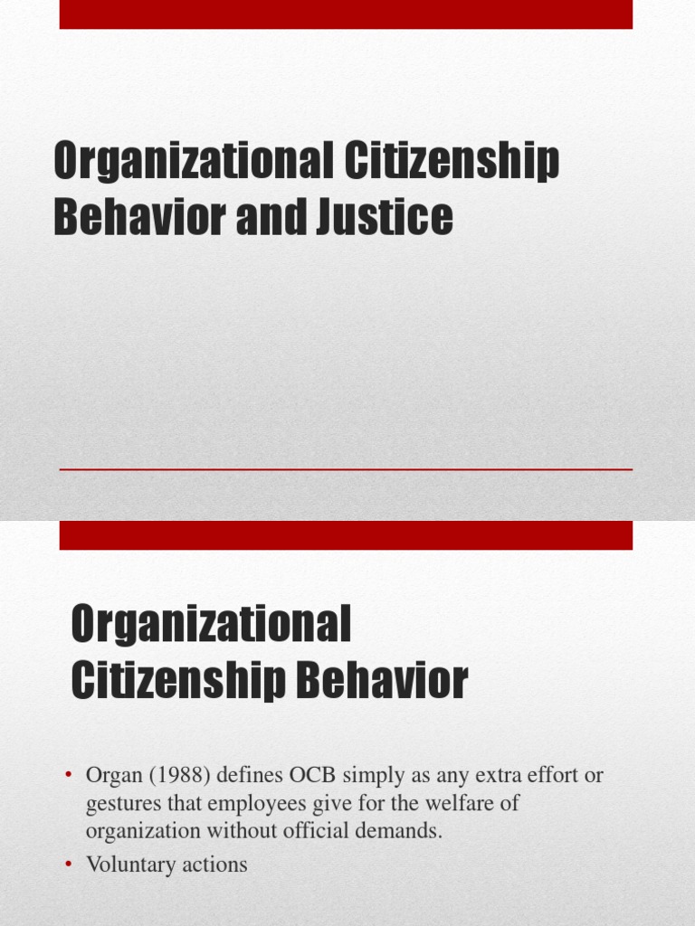 OCB and Justice: A Social Exchange Perspective | PDF