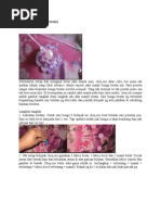 Download Cara Jahit Manik Teratai by HASLINA BT PIN SN264732349 doc pdf