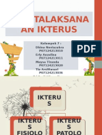 Penatalaksanaan Ikterus