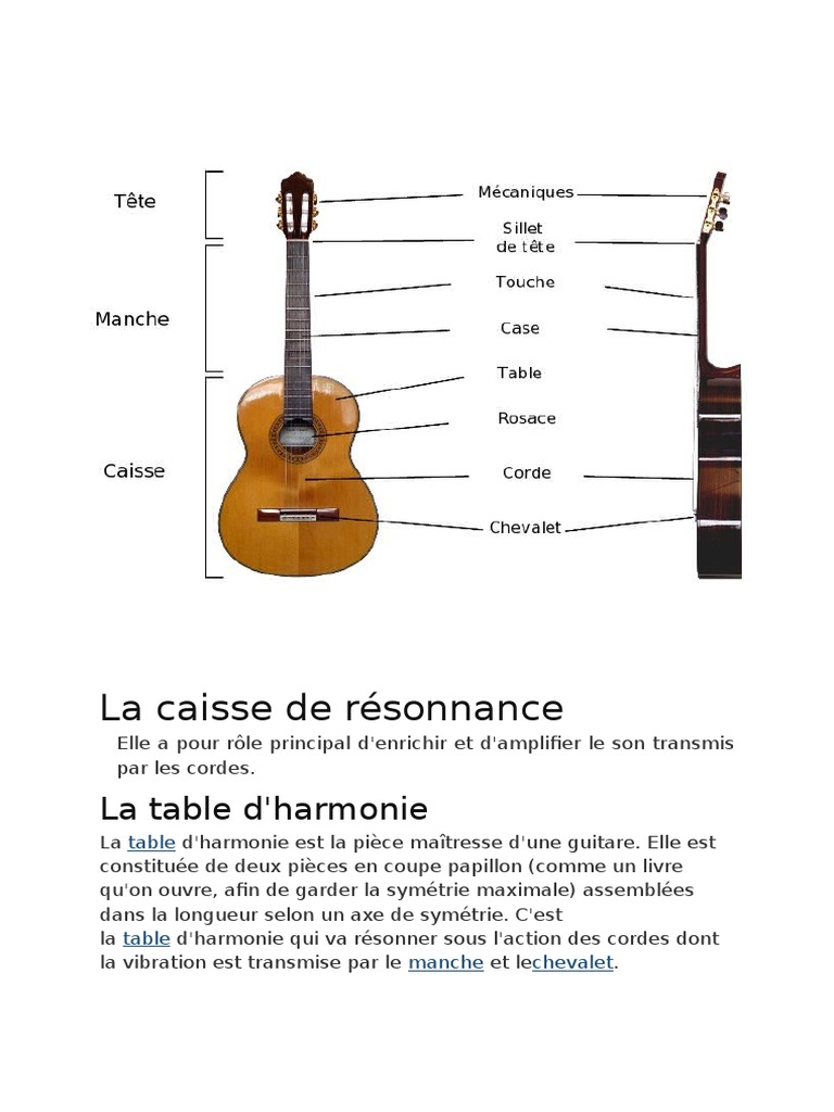 Chapitre 2 : Les composantes d'une guitare —