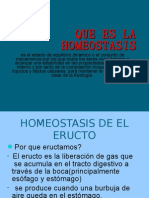 Que Es La Homeostasis