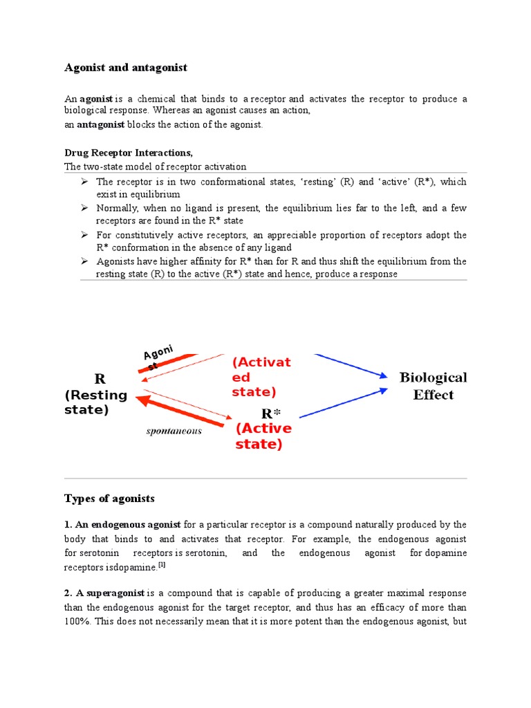 5th Week Agonist and Antagonist | PDF | Agonist | Receptor Antagonist