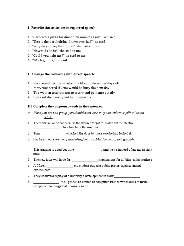 I Rewrite The Sentences in Reported Speech | PDF