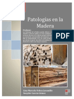 Patologia en la Madera.pdf