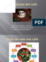Produccion Del Cafe