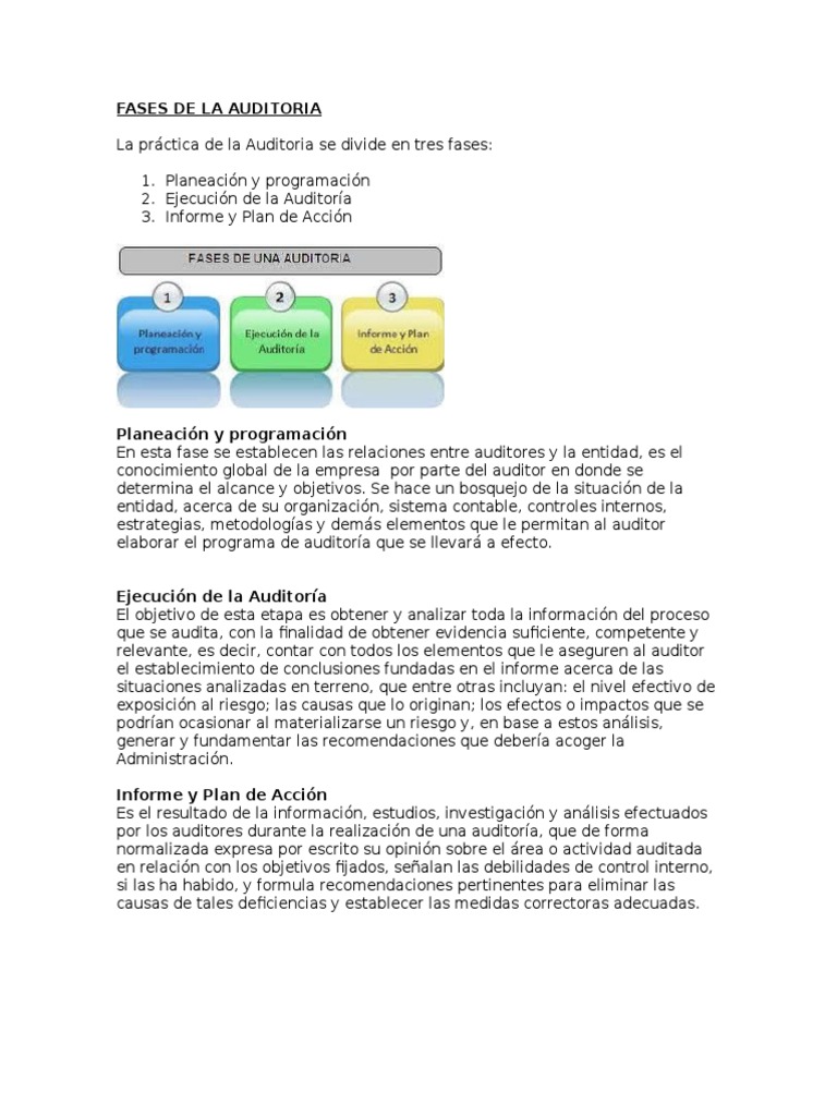 Fases de La Auditoria | PDF | Auditoría financiera | Contralor