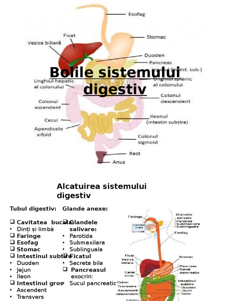Bolile Sistemului Digestiv