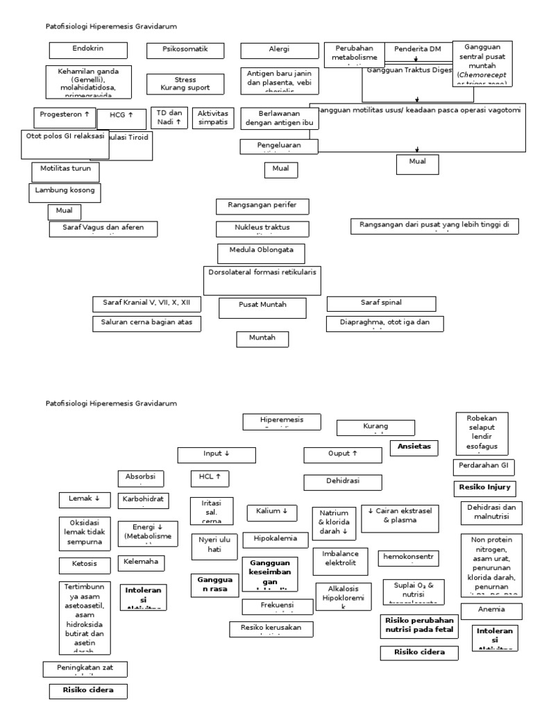 Patofisiologi Hiperemesis Gravidarum | PDF | Kesehatan Holistik