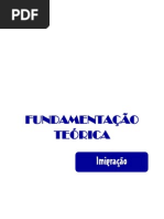 FundamentaÇÃo TeÓrica Imigração