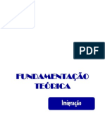 FundamentaÇÃo TeÓrica Imigração