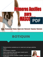 Primeros Auxilios en Animales