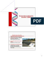 Deoksiribonukleinska Kiselina (DNA) : Nukleinske Kiseline