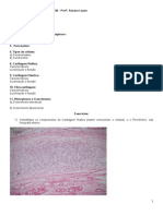 Tecido Cartilaginoso e Ósseo PDF
