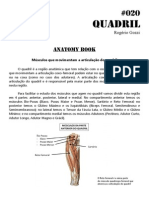 020 - Anatomy Book - Músculos Do Quadril