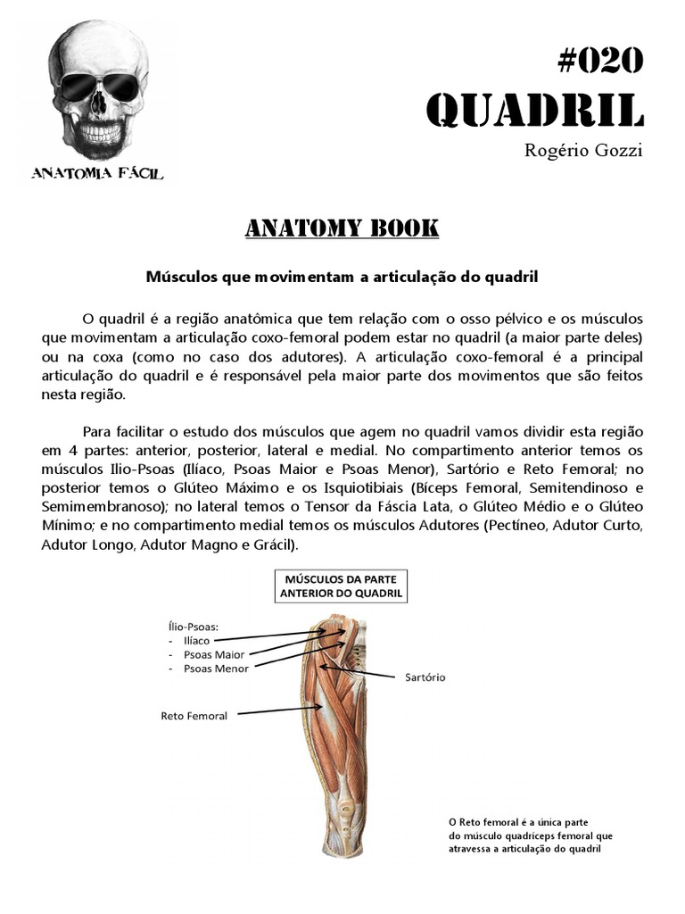 Músculos do Quadril e Coxa: Anatomia | PDF | Sistema Locomotor | Anatomia  humana, image size:768x1024